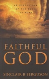 Faithful God, An Exposition of the Book of Ruth