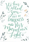 Card - He Has Called You out of Darkness into His Glorious Light - 1 Peter 2 vs 9