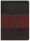 KJV Full Color Study Bible, Saddle Brown Leathersoft