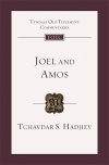 Joel and Amos, An Introduction and Commentary - TOTC 