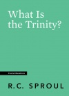 What Is the Trinity?  Crucial Questions Series