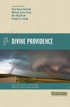 Four Views on Divine Providence - Counterpoint Series