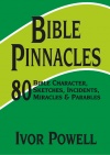 Bible Pinnacles - Bible Character, Sketches, Incidents, Miracles & Parables - CCS