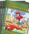 The Shepherd King: A puzzle book about David - (value pack of 5)  VPK