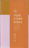 ESV Teen Study Bible - Desert Sun