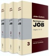 John Calvin Sermons on Job: 3 Volume Set