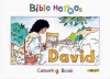 Bible Heroes Colouring Book - David