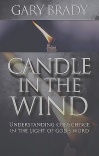 A Candle in the Wind: Understanding Conscience in the Light of God