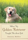 What my Golden Retriever Taught Me about God