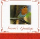 Christmas Cards - Merry Christmas Robins - Pack of 10 - CMS