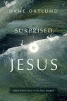 Surprised by Jesus 