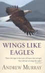 Wings Like Eagles